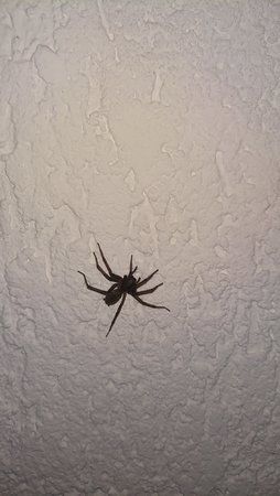 DSC_1415.JPG