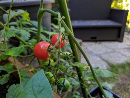 Nokia72_GCam.jpg