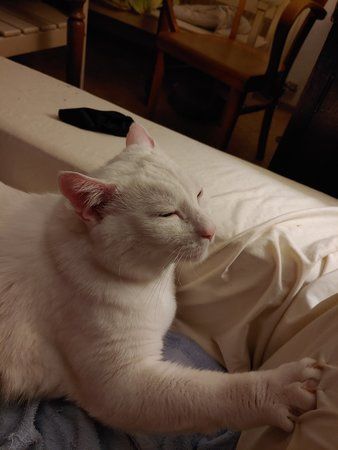 20190930_224746.jpg