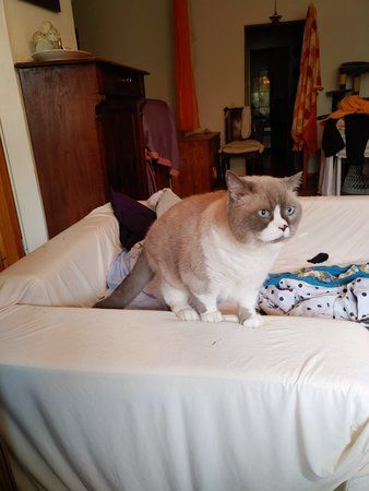 20191001_144241.jpg