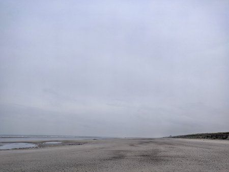 IMG_20191004_092434-01.jpeg
