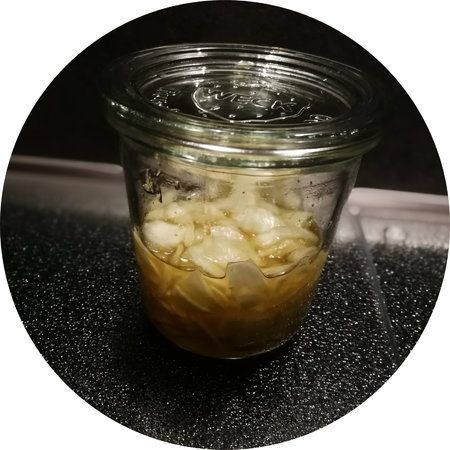 Zwiebel-Honig-Sud.jpg