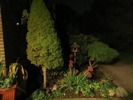 30pro pro Modus auto settings.jpg