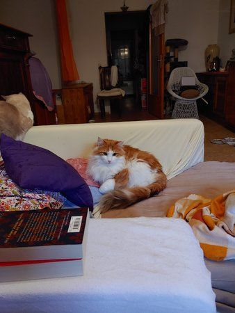 20191006_175437.jpg