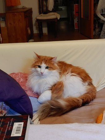 20191006_175432.jpg