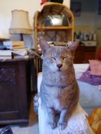 20191003_184601.jpg