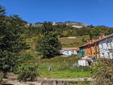 IMG_20191006_162401.jpg