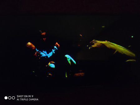 IMG_20191010_113447.jpg