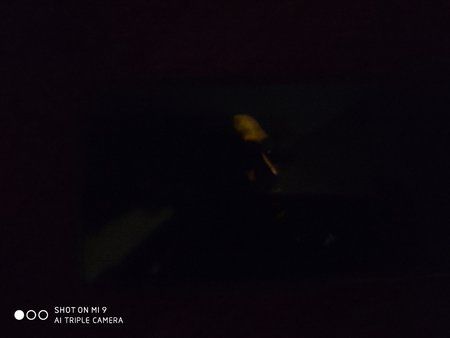 IMG_20191010_113406.jpg