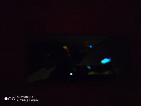 IMG_20191010_113354.jpg
