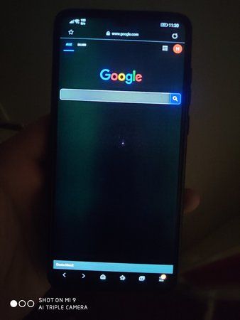 IMG_20191010_113032.jpg