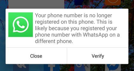 IMG_20191010_140807.jpg IMG_20191010_140807.jpg