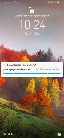 Screenshot_20191011_102428_com.android.keyguard.jpg