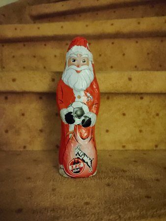 Nikolaus_Stock_Cam.jpg