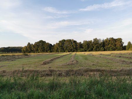 IMG_20190823_192350.jpg