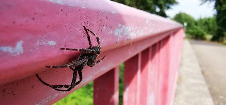 IMG_20190720_165958.jpg