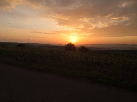 IMG_20191015_080222.jpg