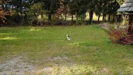 DSC_1995 1.JPG
