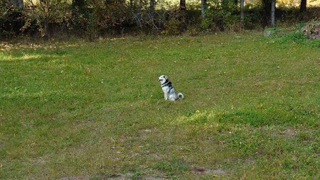 DSC_1997 1.JPG