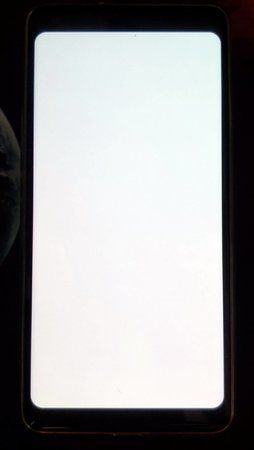 IMG_20191019_121555.jpg