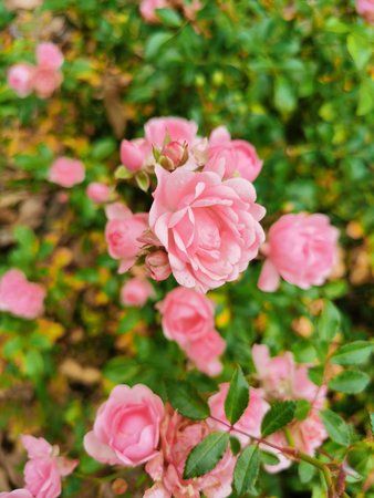 IMG_20191019_132928.jpg
