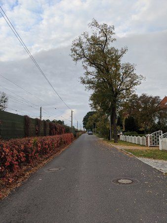 IMG_20191020_083728.jpg