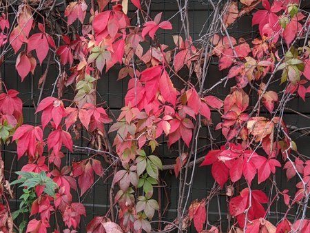 IMG_20191020_084419.jpg