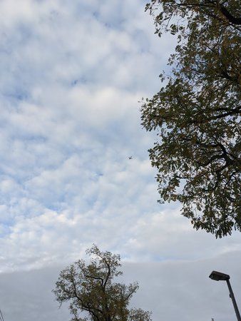IMG_20191020_083702.jpg
