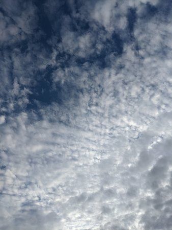 IMG_20191020_085710.jpg