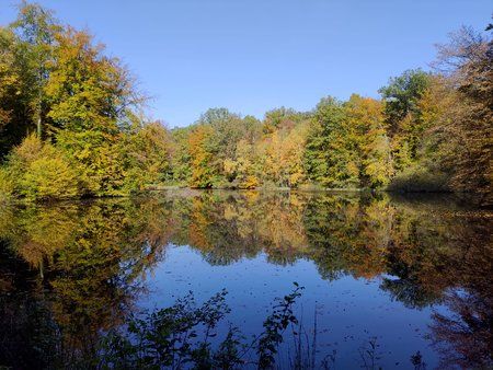 P_20191013_112327.jpg