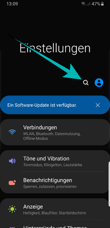 Screenshot_20191020-130947_Settings.png