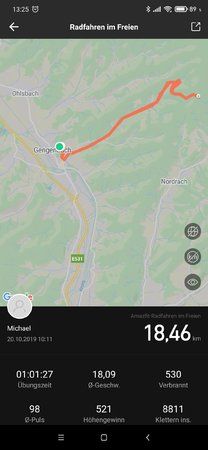 Screenshot_2019-10-20-13-25-43-313_com.huami.watch.hmwatchmanager.jpg