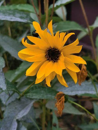 IMG_20191020_134925.jpg