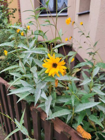 IMG_20191020_134930.jpg