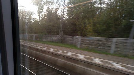IMG_20191021_152638.jpg