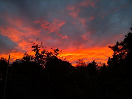 IMG_20191021_183337.jpg