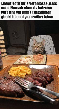 kat.jpg