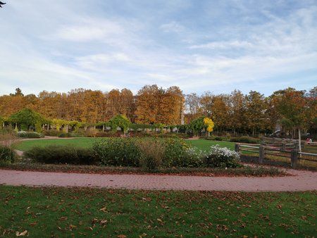 IMG_20191025_173103.jpg