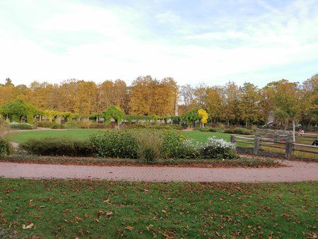 IMG_20191025_173140.jpg