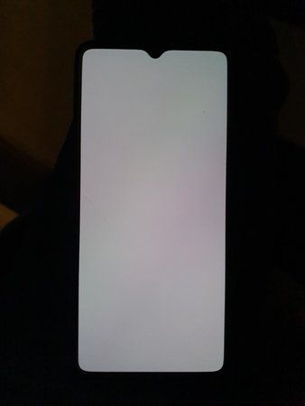 20191025_062216.jpg