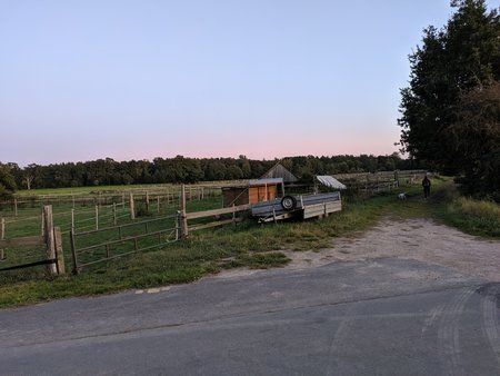 IMG_20190920_194027.jpg
