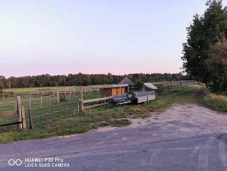 IMG_20190920_194059.jpg