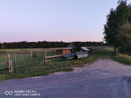 IMG_20190920_194054.jpg