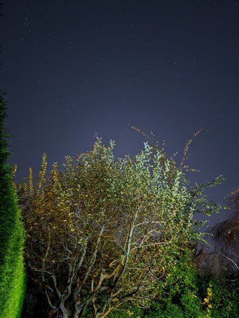 IMG_20191026_223409.jpg