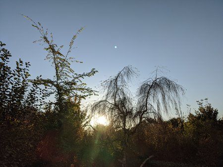 IMG_20191027_074209.jpg