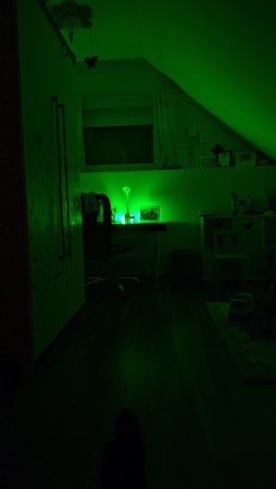 IMG_20191028_205514.jpg