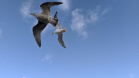 IMG_20191027_093814.jpg