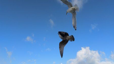 IMG_20191027_093812_1.jpg