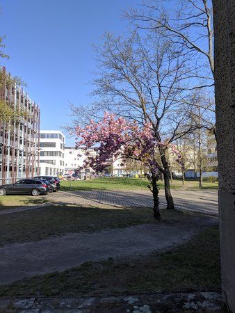 gcam.jpg