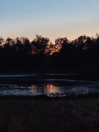 IMG_20191029_172602.jpg